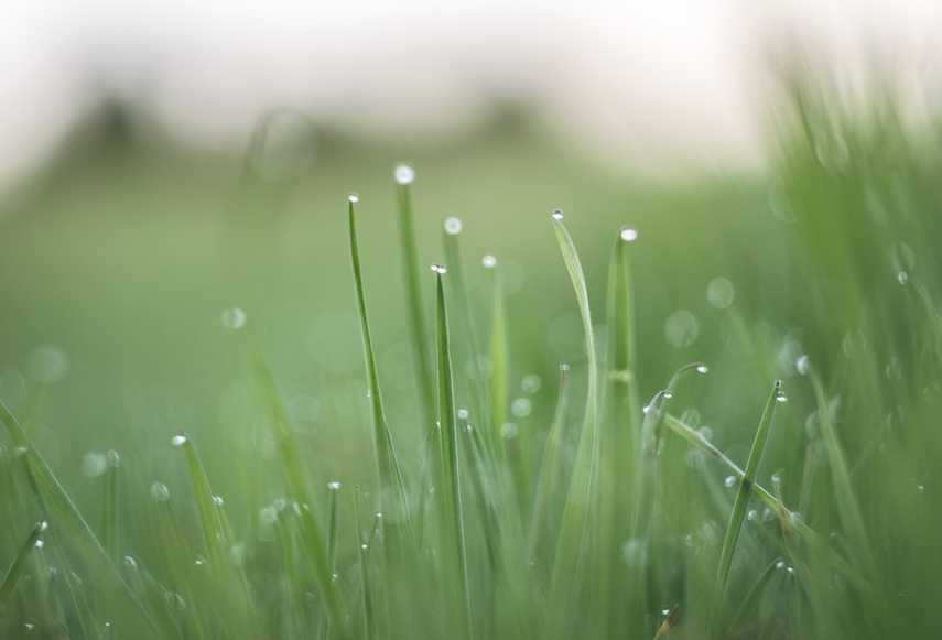 露點的定義及其在工業(yè)中的重要性！