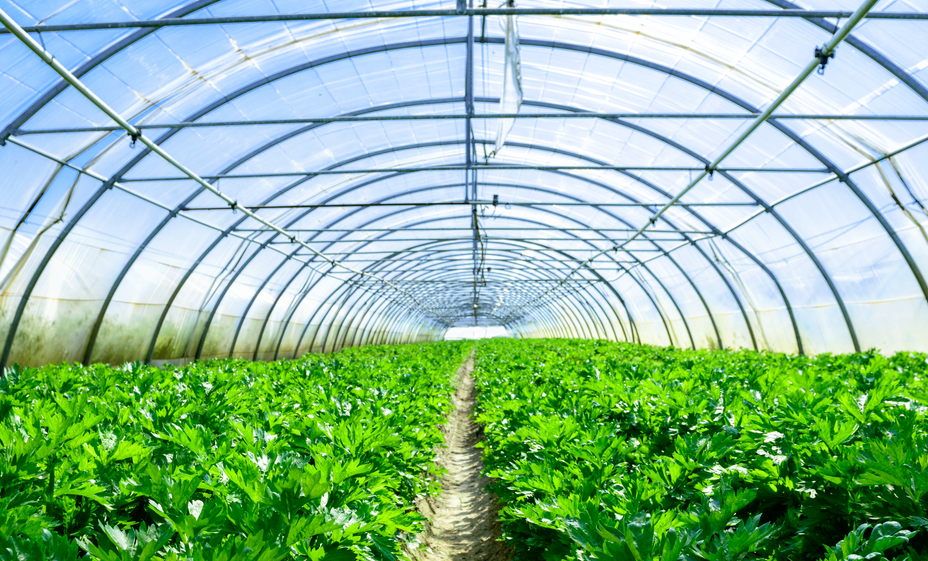 哪些農(nóng)業(yè)場(chǎng)景需要高精度的溫濕度測(cè)量?jī)x?？